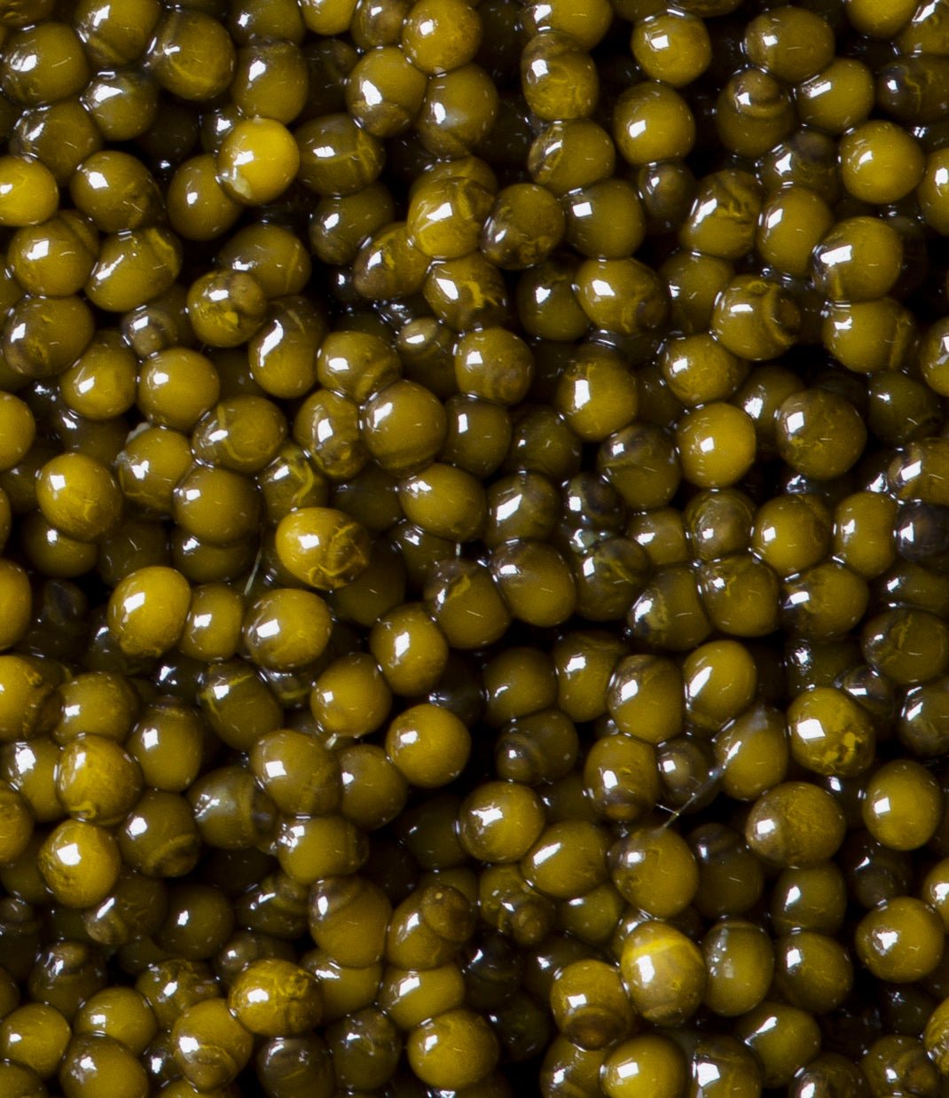 Regalis Foods - Amber Kaluga Caviar - FishNook Tinned Seafood Co.