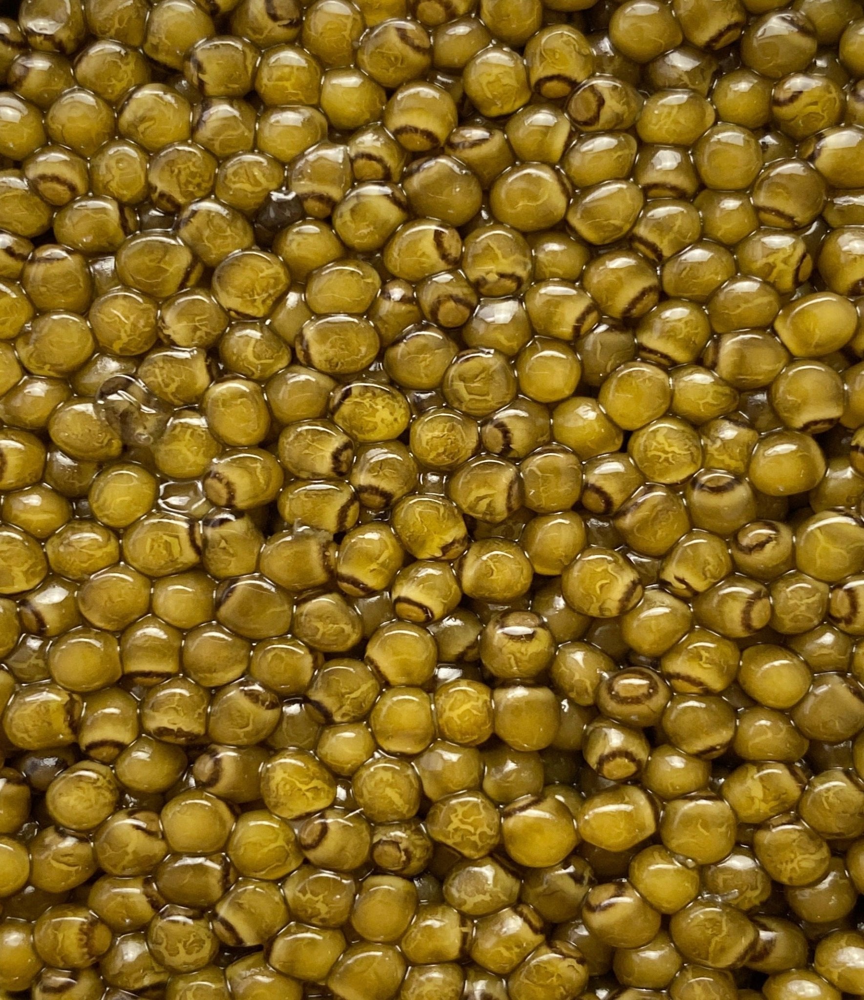 Regalis Foods - Golden Kaluga Caviar - FishNook Tinned Seafood Co.