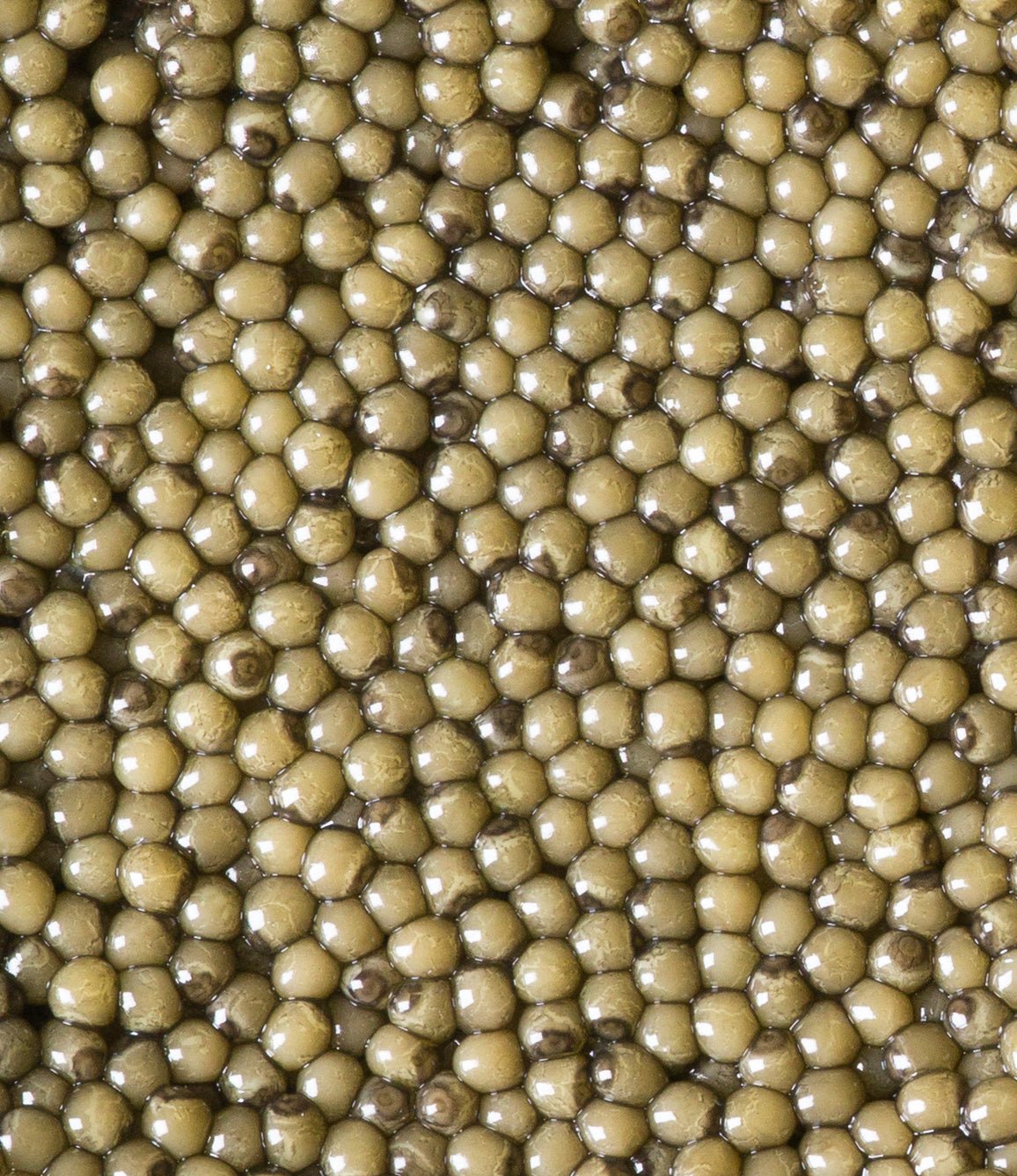Regalis Foods - Golden Osetra Caviar - FishNook Tinned Seafood Co.