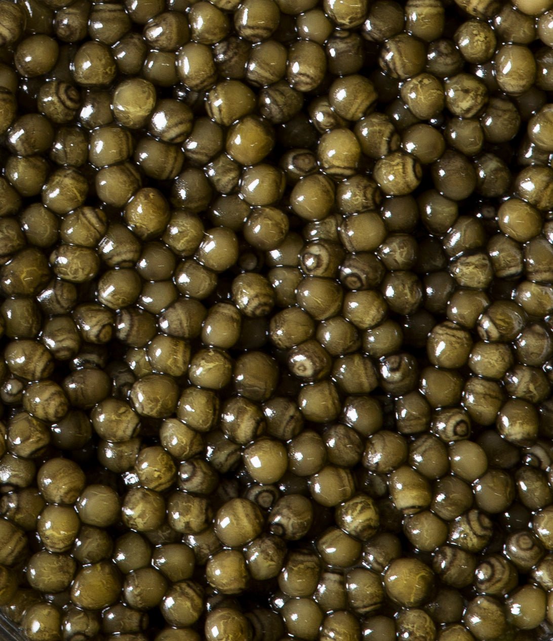 Regalis Foods - Osetra Noir Caviar - FishNook Tinned Seafood Co.