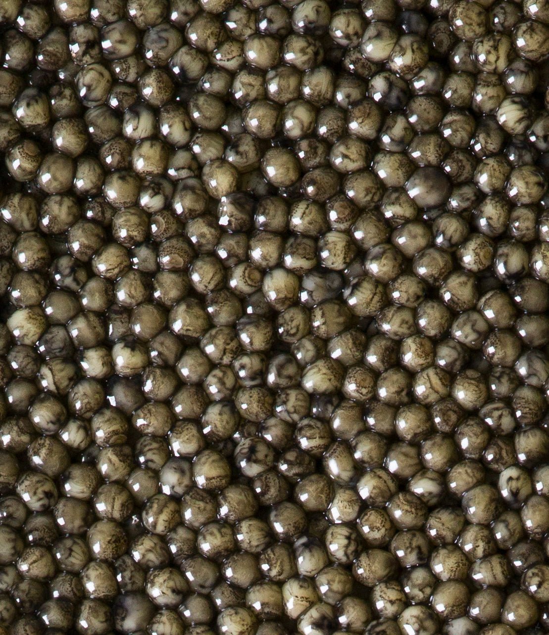 Regalis Foods - Platinum Osetra Caviar - FishNook Tinned Seafood Co.