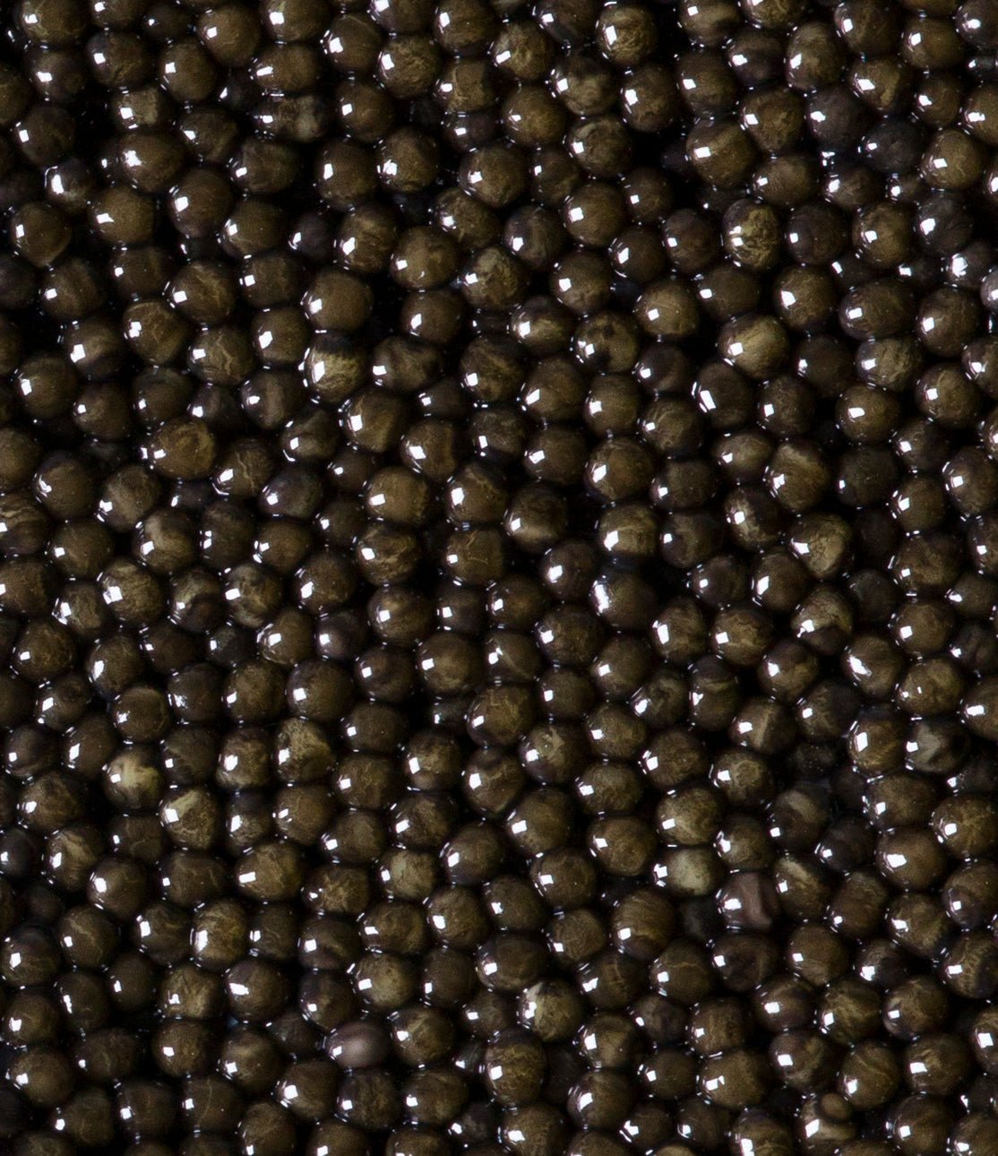 Regalis Foods - Siberian Sturgeon Baerii Caviar - FishNook Tinned Seafood Co.