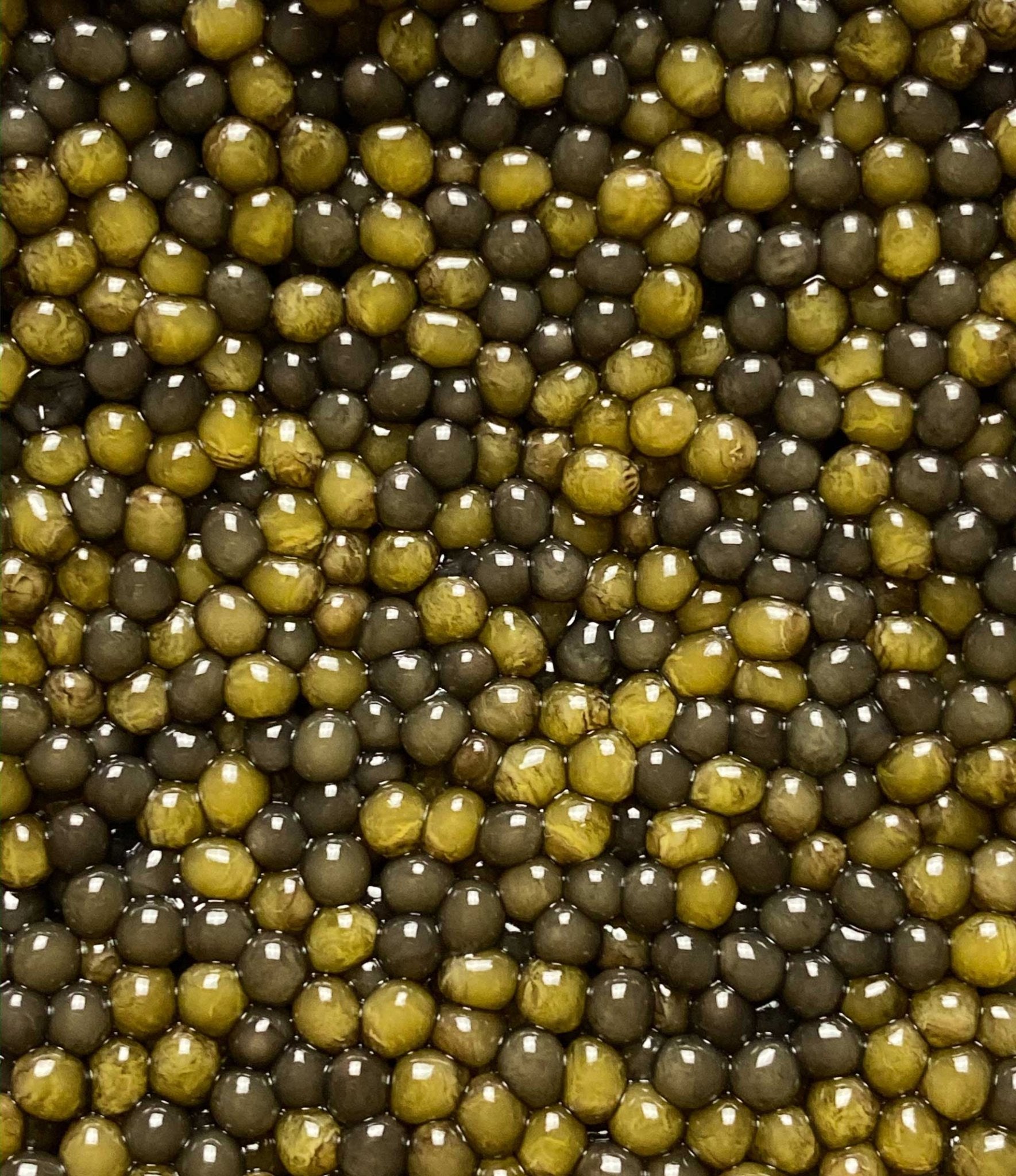 Regalis Foods - Two - Tone Osetra Caviar - FishNook Tinned Seafood Co.